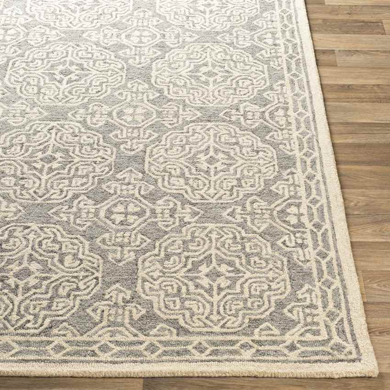 Wilaard Traditional Medium Gray Area Rug