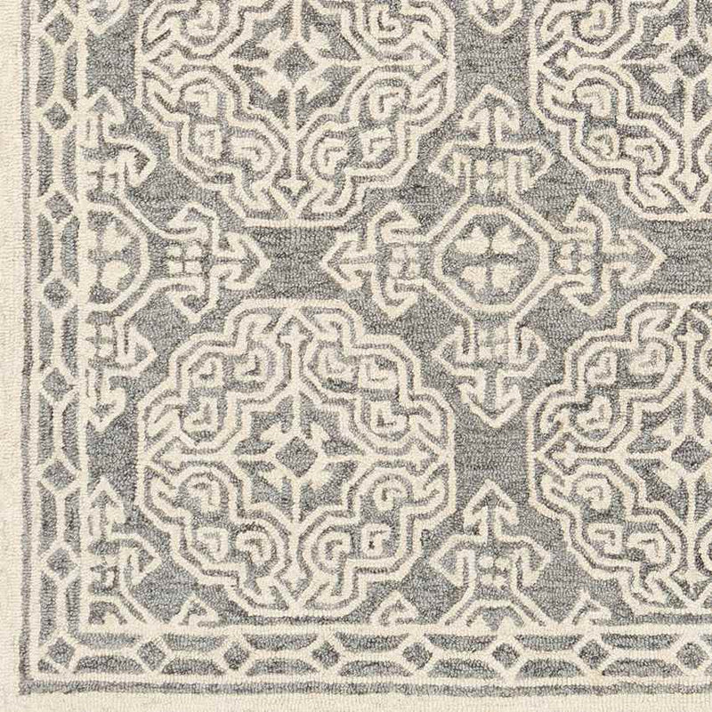 Wilaard Traditional Medium Gray Area Rug