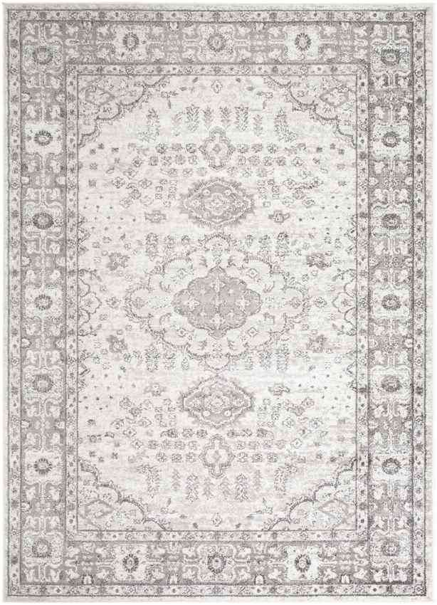 Workum Traditional Light Gray Area Rug