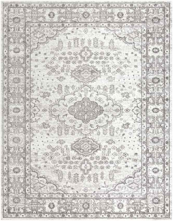 Workum Traditional Light Gray Area Rug