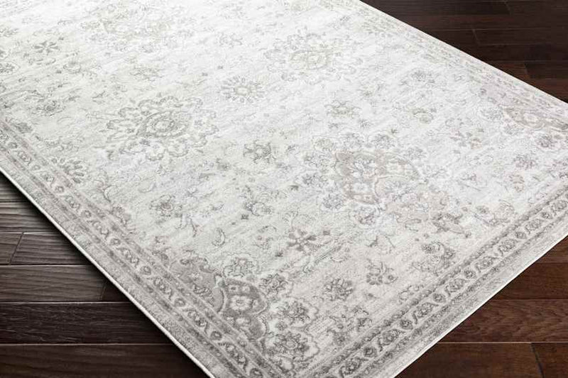 Woudsend Traditional Light Gray Area Rug