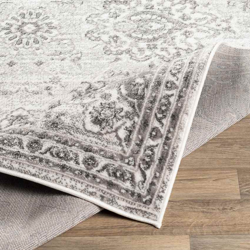 Woudsend Traditional Light Gray Area Rug