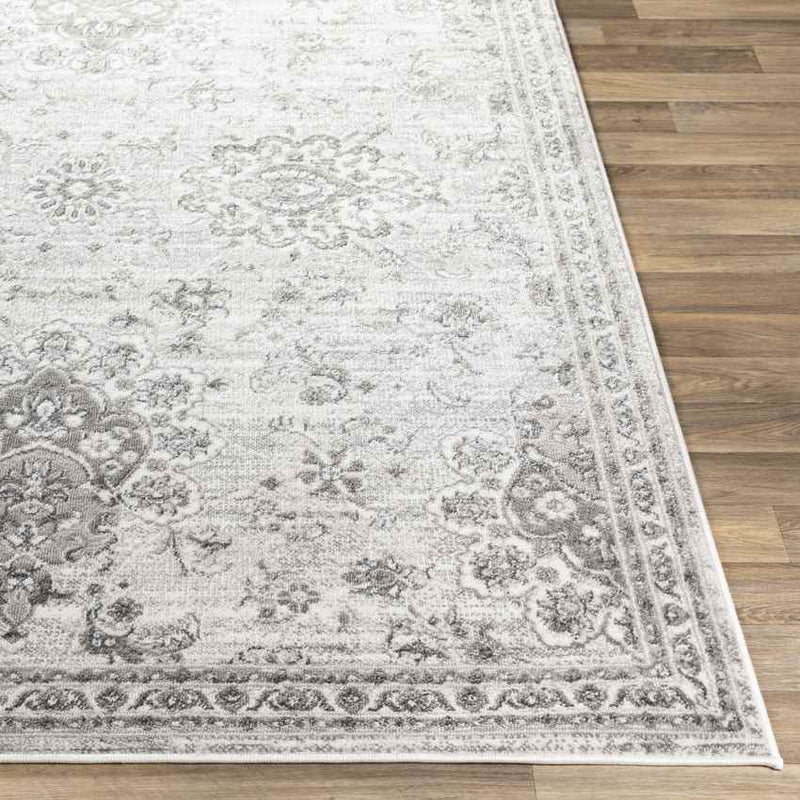 Woudsend Traditional Light Gray Area Rug