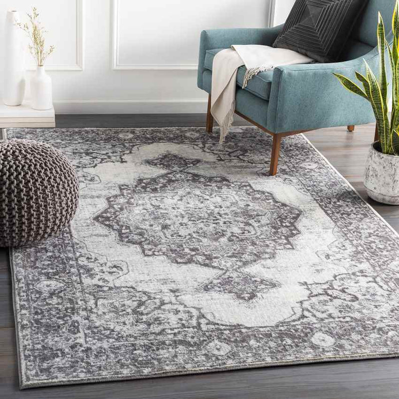 Ansen Traditional Charcoal Area Rug