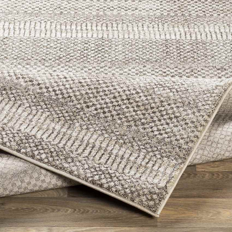 Buinen Global Khaki Area Rug