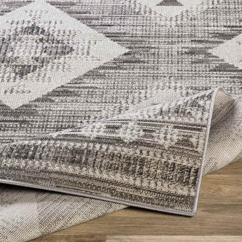 Dalerpeel Traditional Charcoal Area Rug