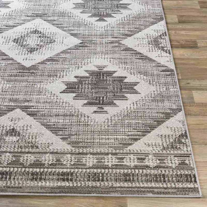 Dalerpeel Traditional Charcoal Area Rug