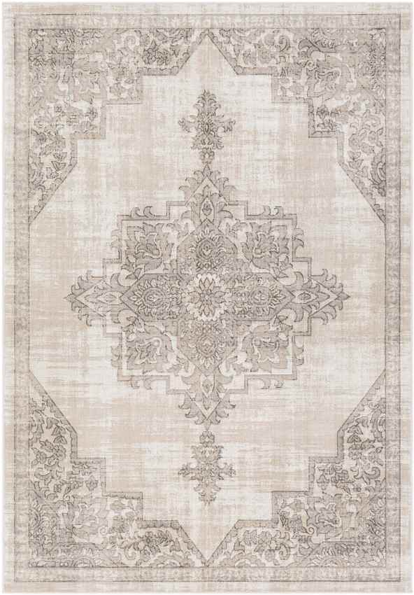 Dalerveen Traditional Light Gray Area Rug