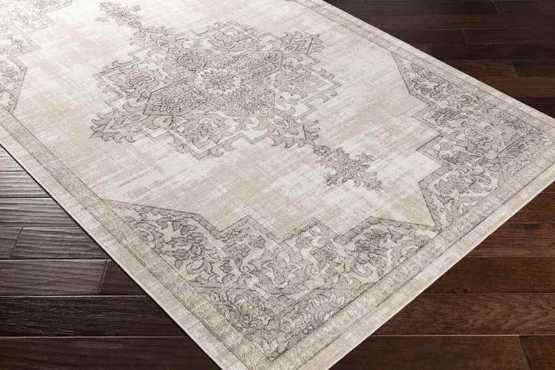 Dalerveen Traditional Light Gray Area Rug