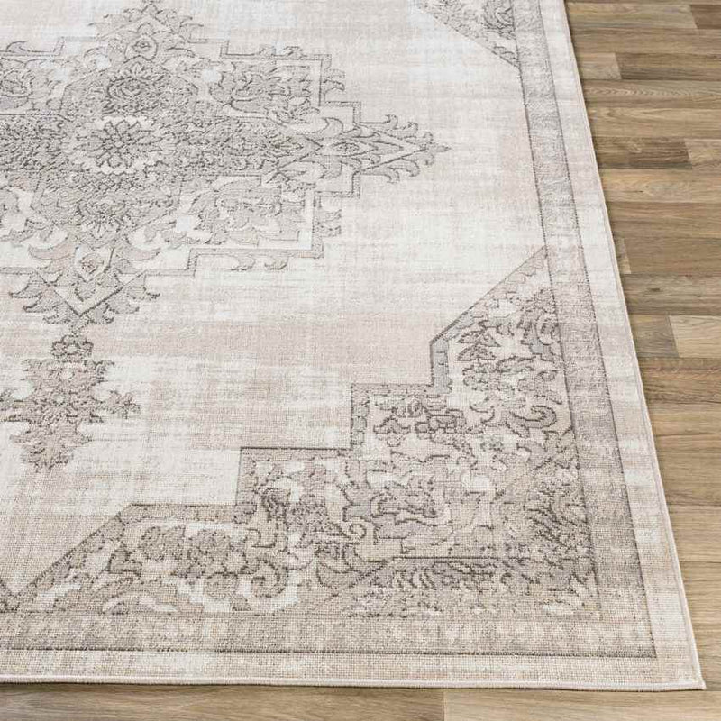 Dalerveen Traditional Light Gray Area Rug