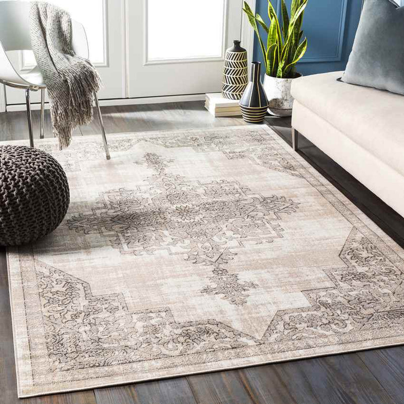 Dalerveen Traditional Light Gray Area Rug