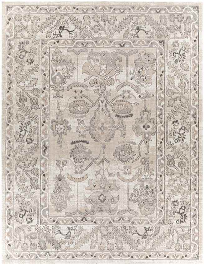 Deurze Traditional Charcoal Area Rug