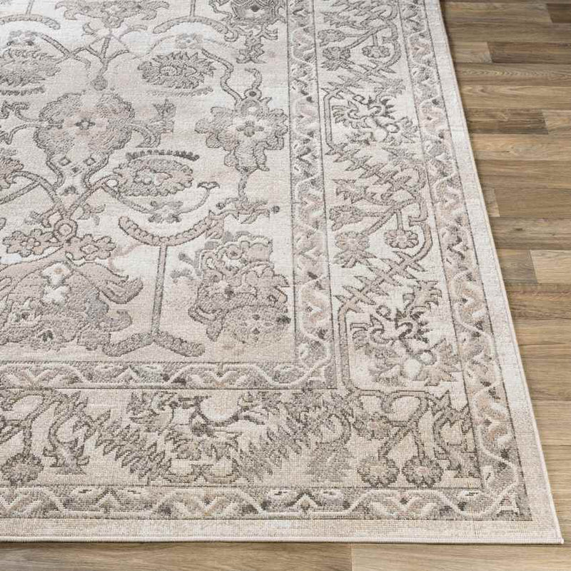 Deurze Traditional Charcoal Area Rug