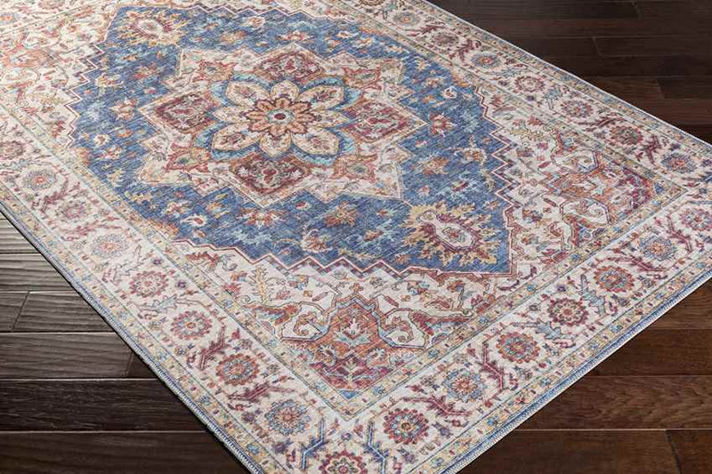 Landes Traditional Garnet Area Rug