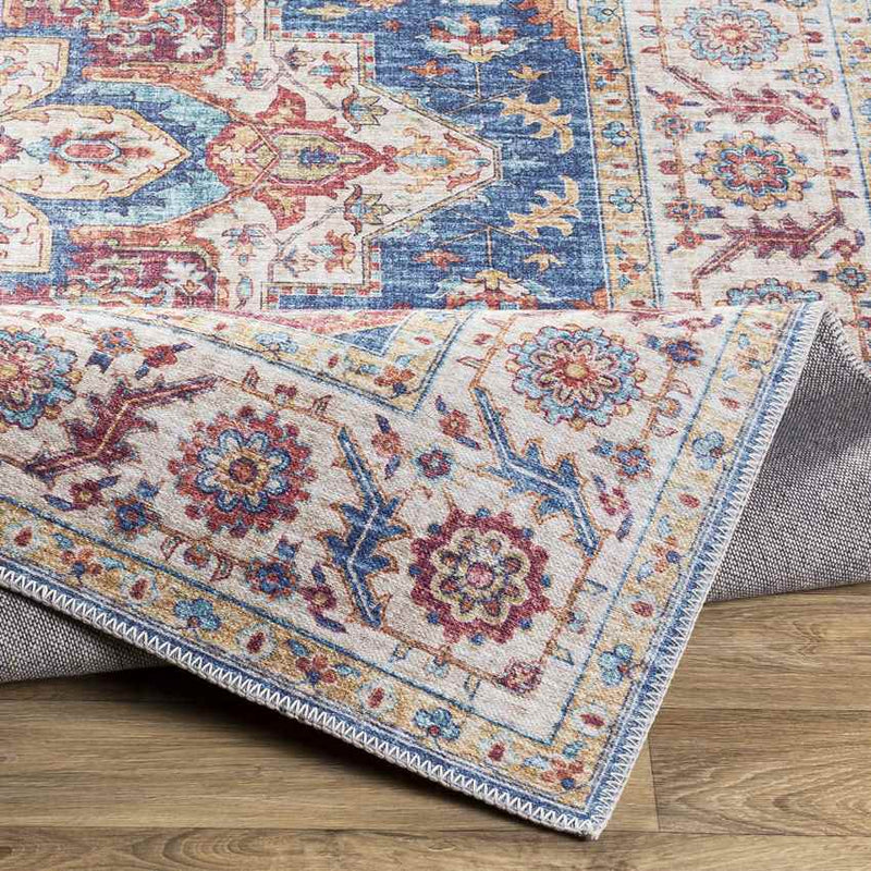 Landes Traditional Garnet Area Rug