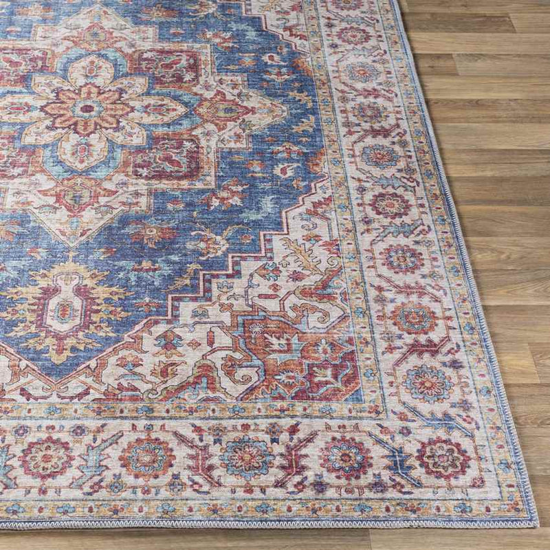 Landes Traditional Garnet Area Rug