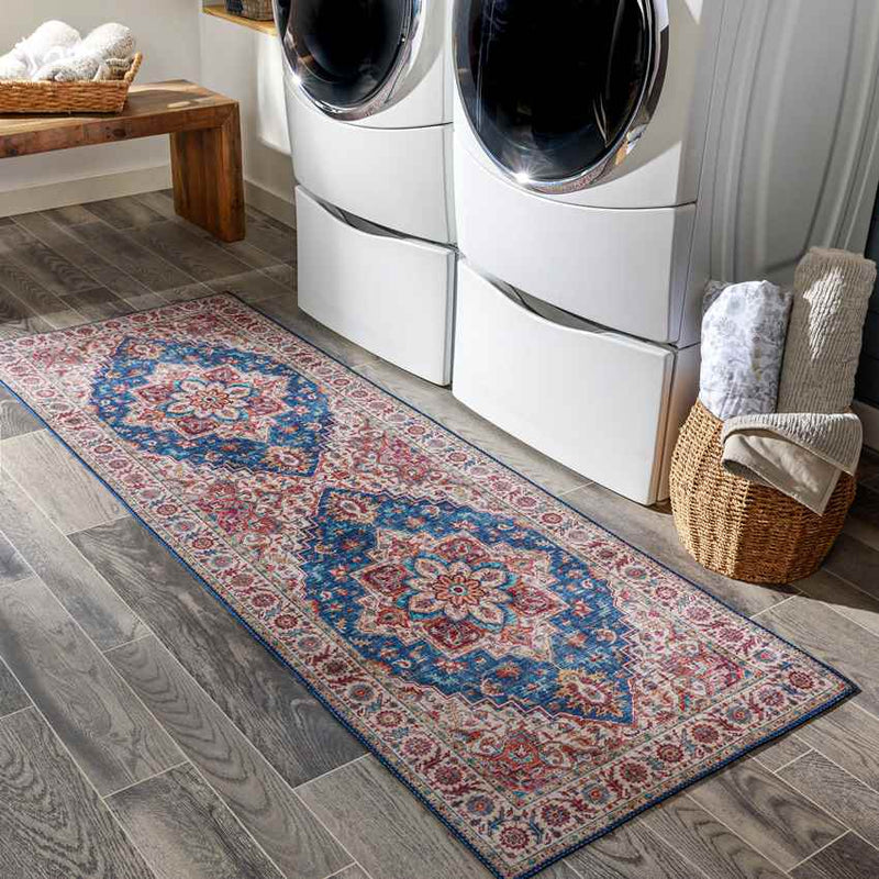 Landes Traditional Garnet Area Rug