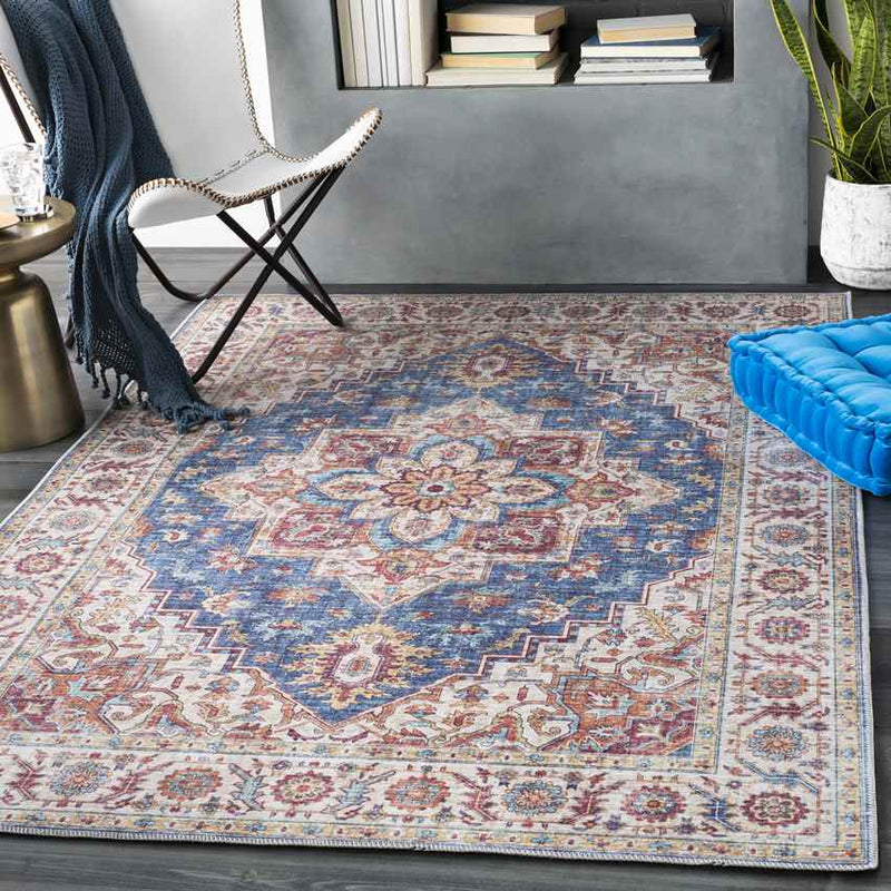 Landes Traditional Garnet Area Rug