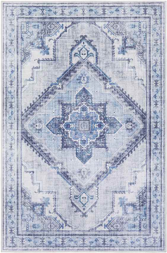 Eemten Traditional Ice Blue Area Rug