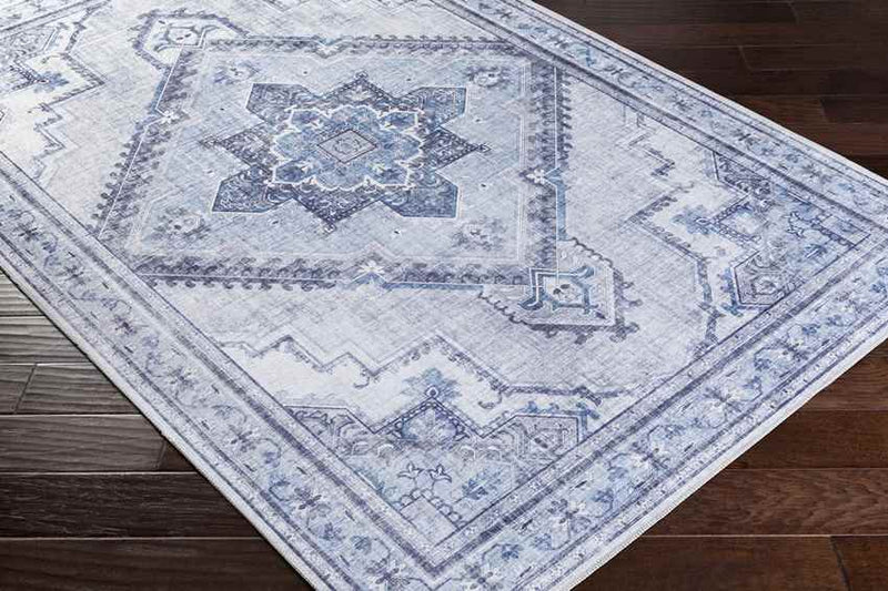 Eemten Traditional Ice Blue Area Rug