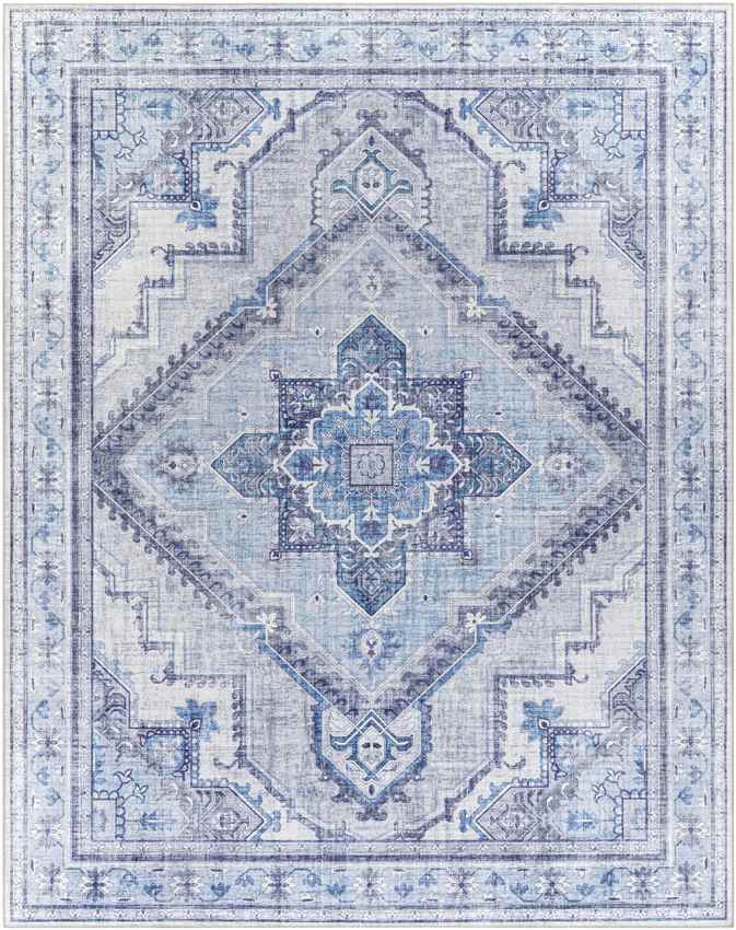 Eemten Traditional Ice Blue Area Rug