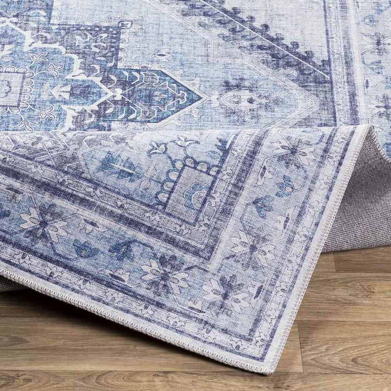 Eemten Traditional Ice Blue Area Rug