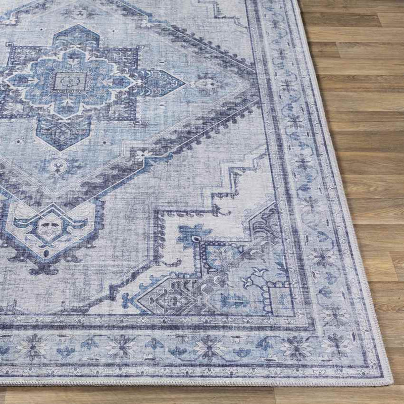 Eemten Traditional Ice Blue Area Rug