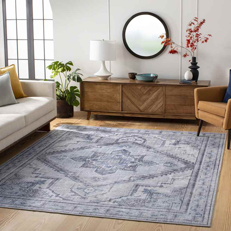 Eemten Traditional Ice Blue Area Rug