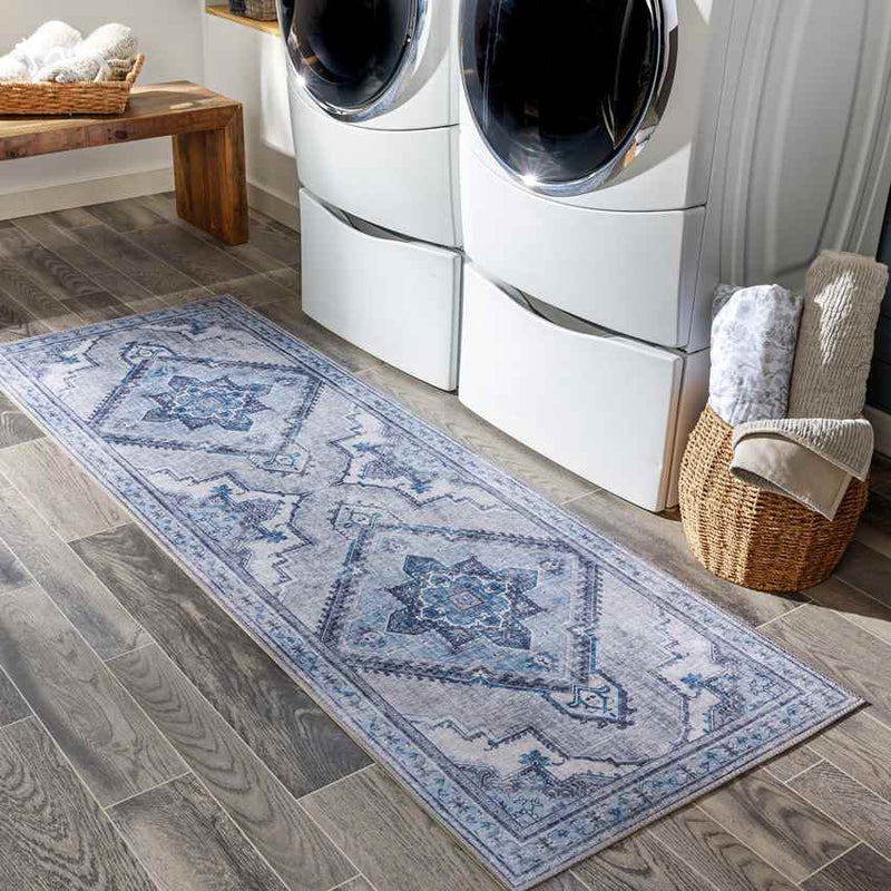 Eemten Traditional Ice Blue Area Rug