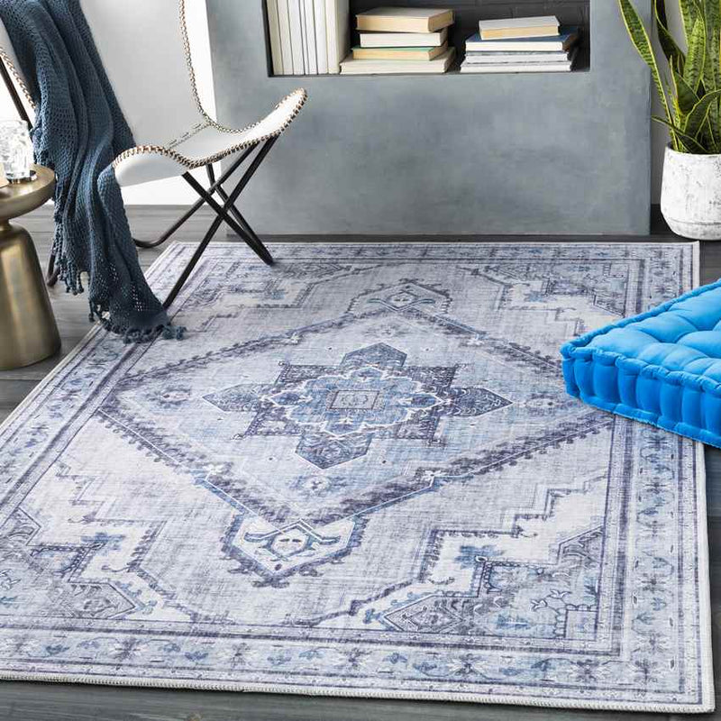 Eemten Traditional Ice Blue Area Rug