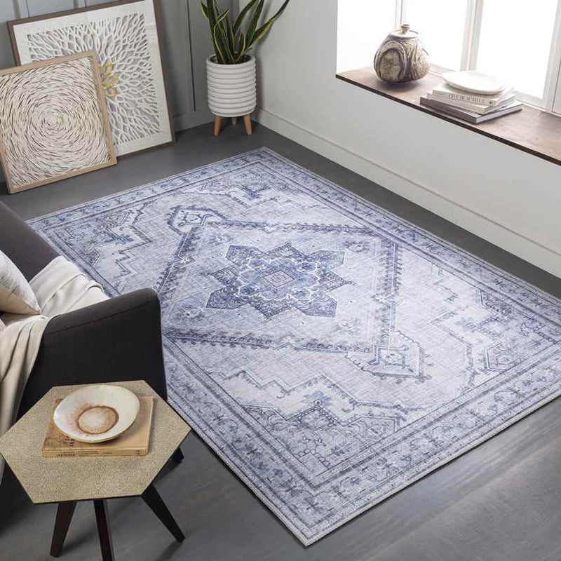 Eemten Traditional Ice Blue Area Rug