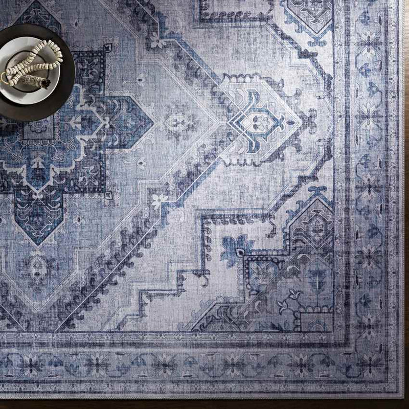 Eemten Traditional Ice Blue Area Rug