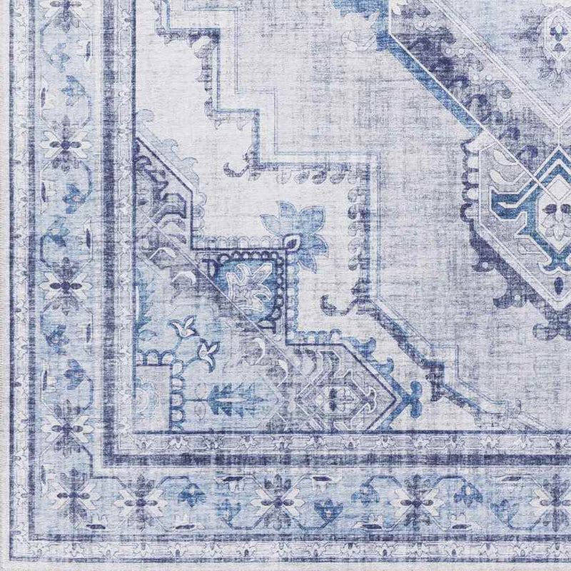 Eemten Traditional Ice Blue Area Rug