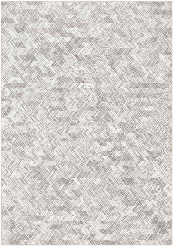 Exloo Modern Light Gray Area Rug