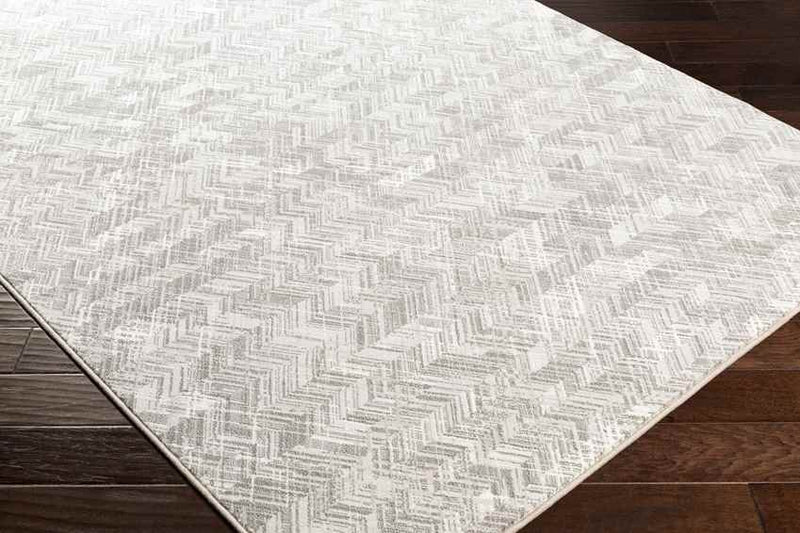 Exloo Modern Light Gray Area Rug