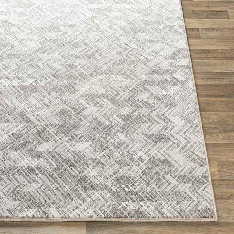 Exloo Modern Light Gray Area Rug