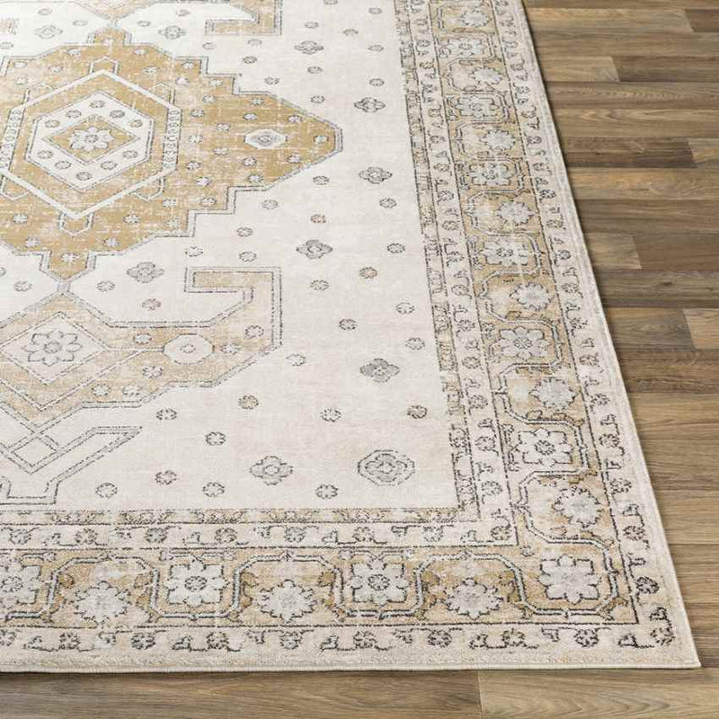 Teramo Traditional Tan Area Rug