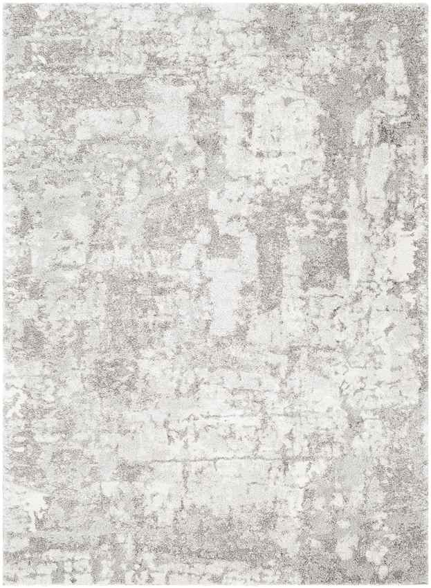 Haakswold Modern Medium Gray Area Rug