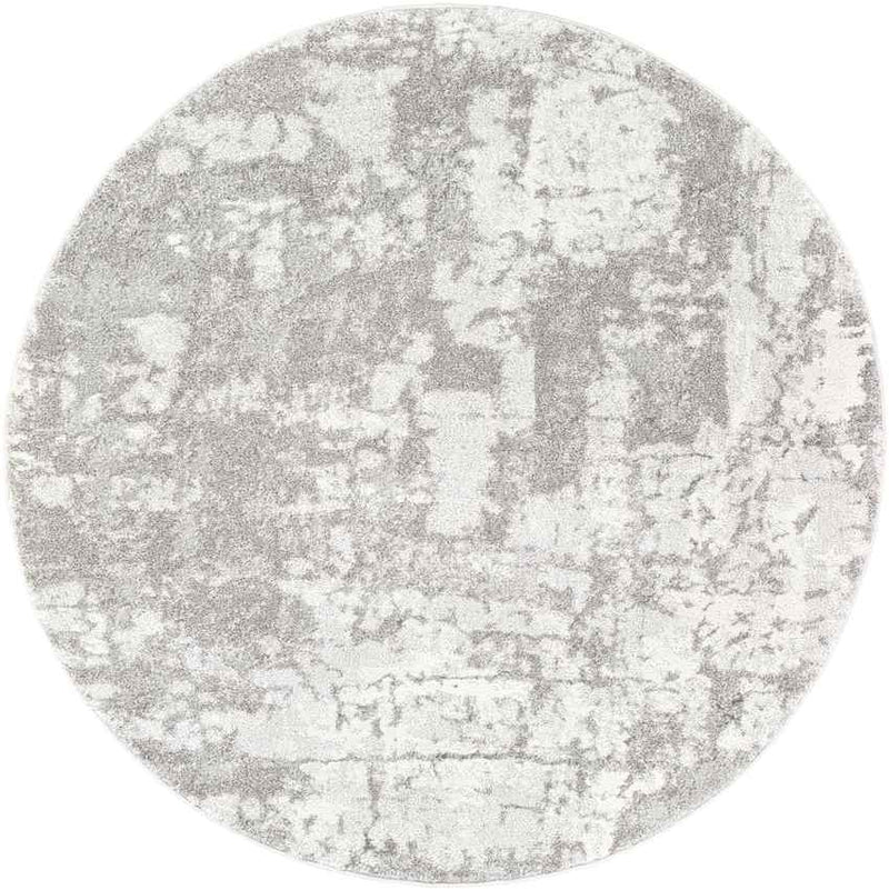 Haakswold Modern Medium Gray Area Rug