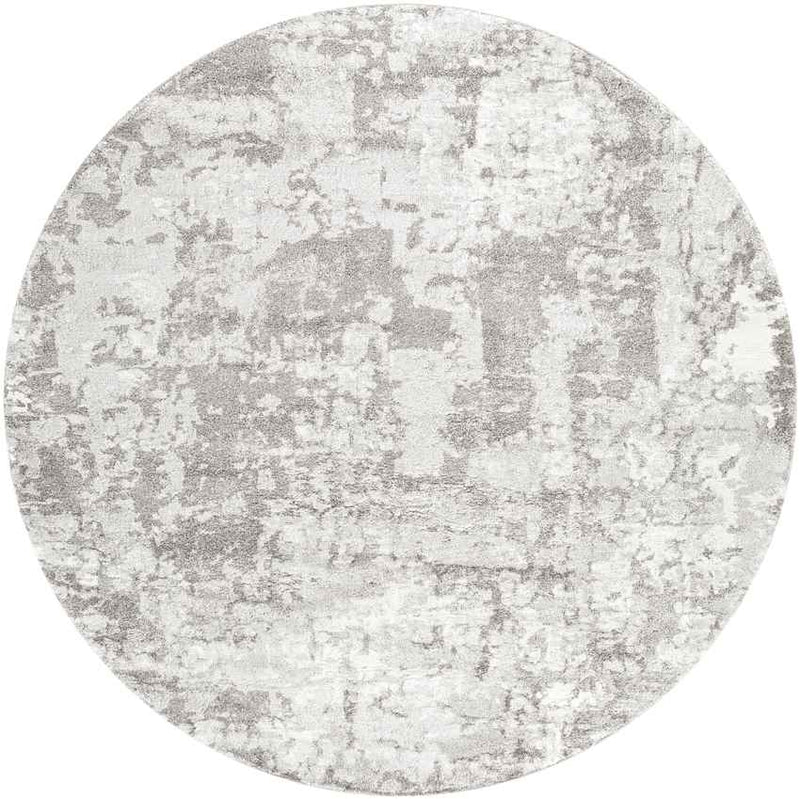 Haakswold Modern Medium Gray Area Rug