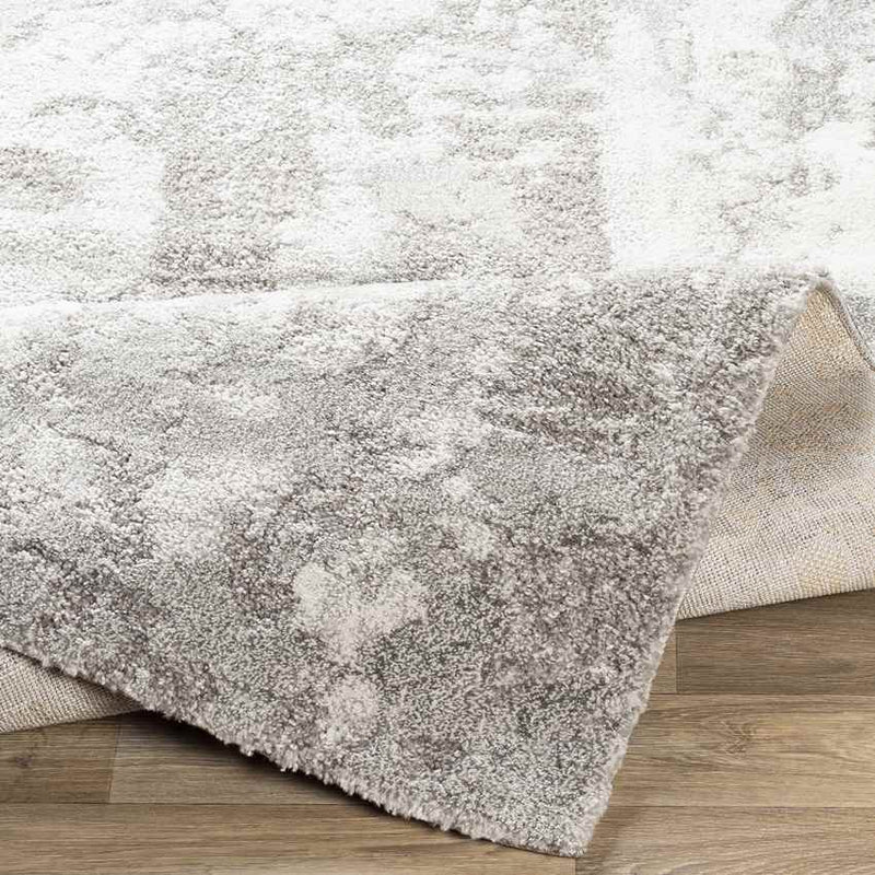 Haakswold Modern Medium Gray Area Rug