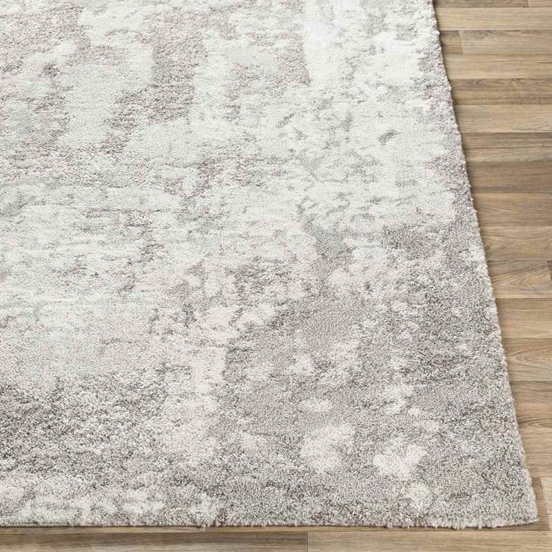 Haakswold Modern Medium Gray Area Rug