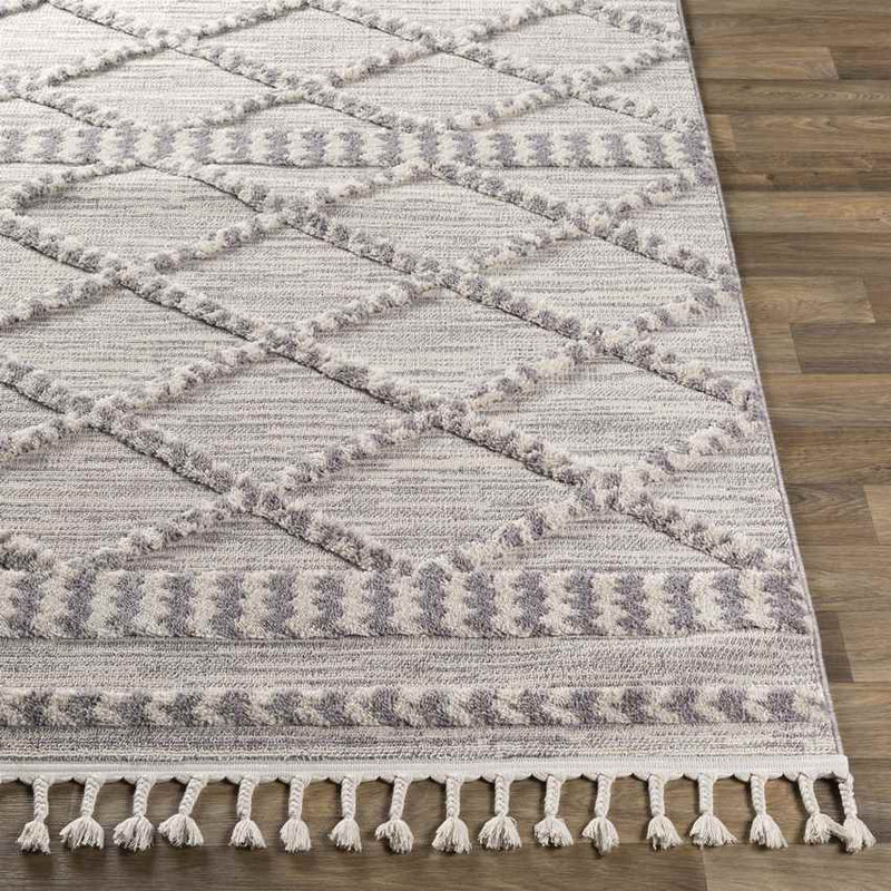 Koelveen Global Medium Gray Area Rug