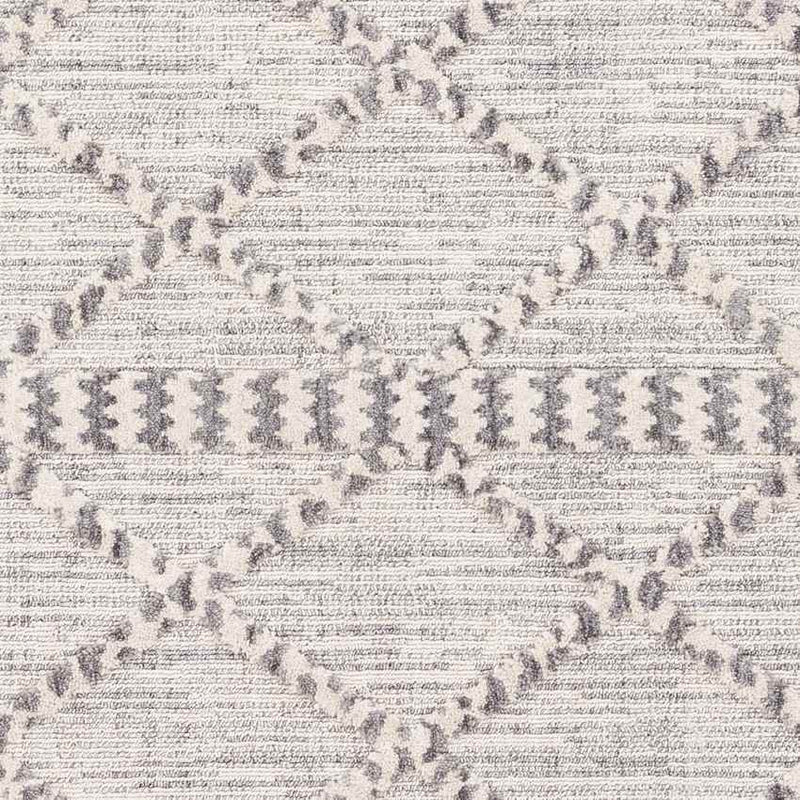 Koelveen Global Medium Gray Area Rug