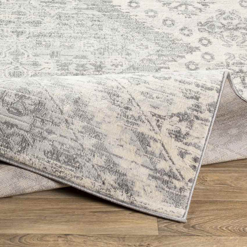 Lheebroek Global Medium Gray Area Rug