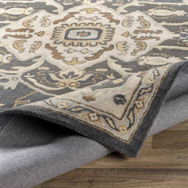 Roblin Traditional Charcoal Area Rug