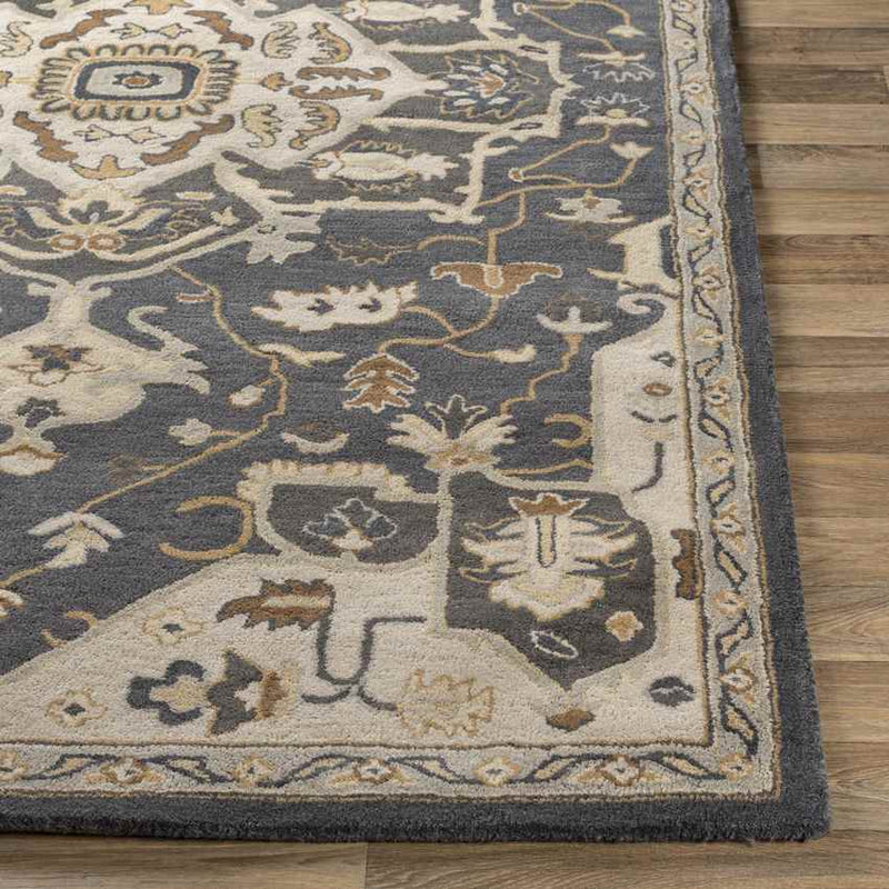 Roblin Traditional Charcoal Area Rug