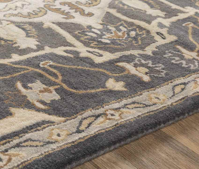 Roblin Traditional Charcoal Area Rug