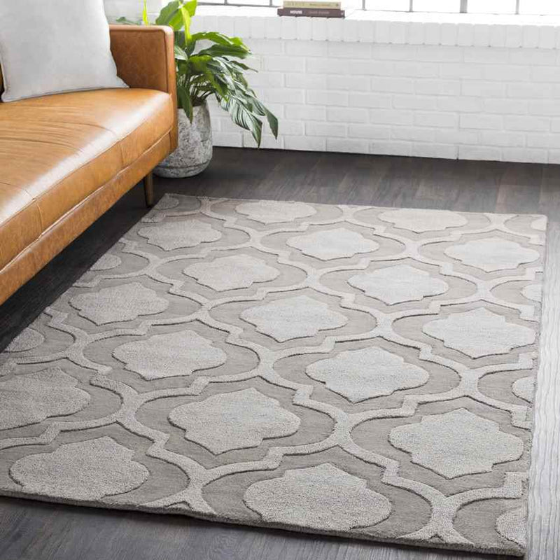 Bergerac Modern Taupe Area Rug