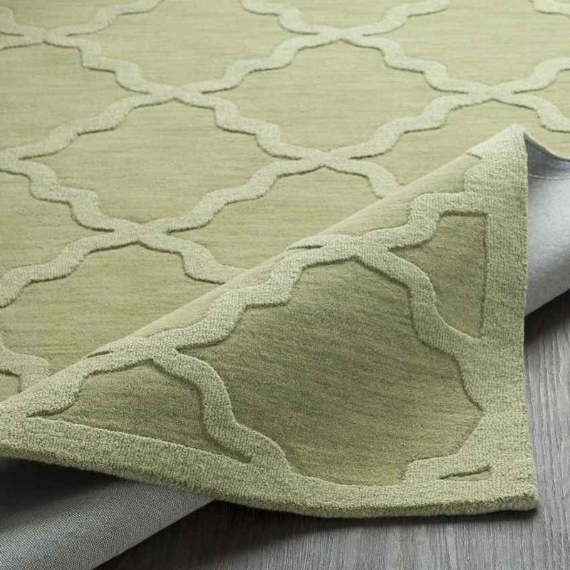 Ermont Modern Grass Green Area Rug